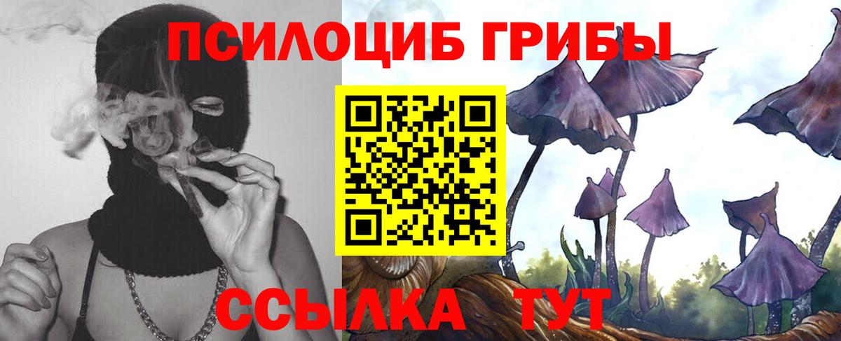 Псилоцибиновые грибы мицелий  Вход с VPN  Выкса 